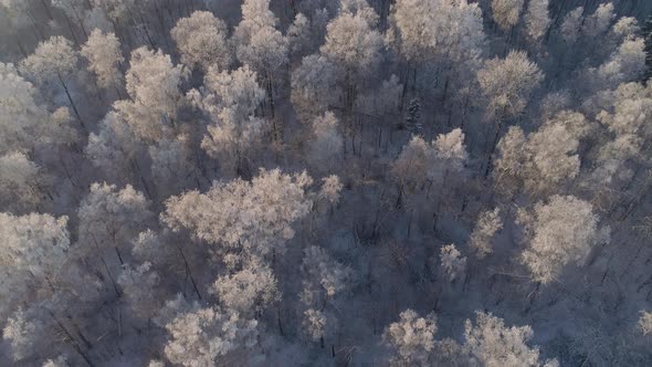 Winter Landscape Countryside