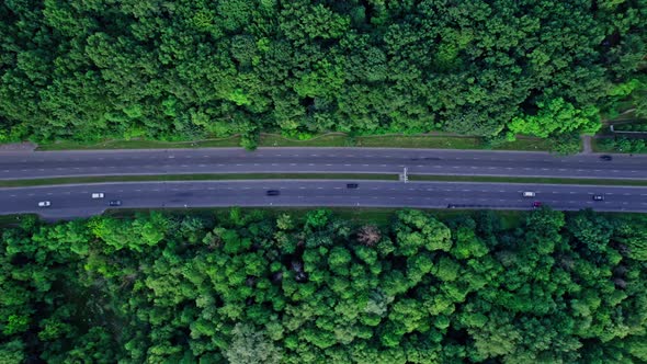 Car on a Highway Road Near Green Forest