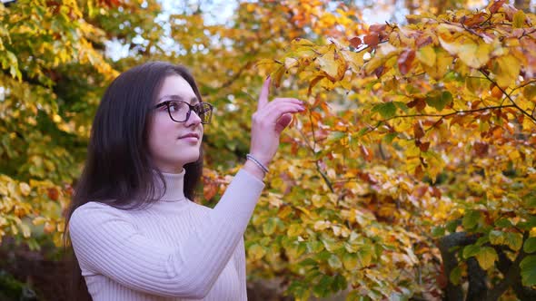 Profile of Happy Teenage Girl Touching Yellow Tree Leaves on Bright Autumn Day. Close Up Slow Motion