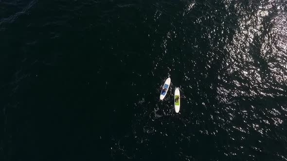 Caucasian Male and Female Swimming on Supboards in Sea Close to Each Other in Slowmotion