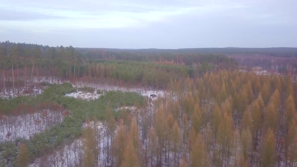 Winter Polish Landscape From Above