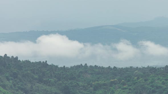 Fluffy fog cloud flowing on natural forest mountain from time lapse sunrise cloudy sky on morning