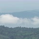 Fluffy fog cloud flowing on natural forest mountain from time lapse sunrise cloudy sky on morning - VideoHive Item for Sale