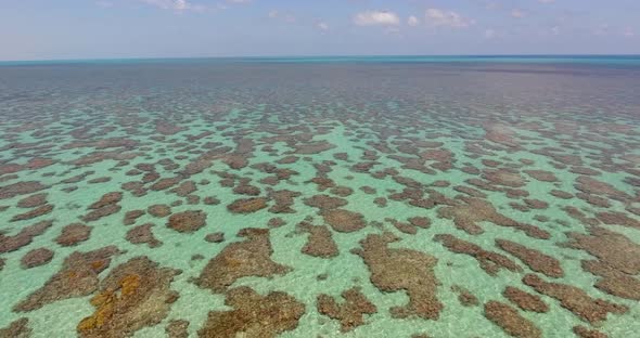 Aerial view of the transparent turquoise sea in Rio do Fogo, Brazil.