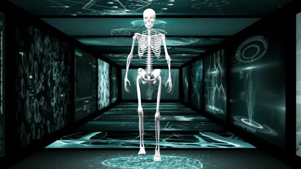 Animation of human skeleton walking hallway of scientist screen