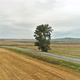 road between the autumn fields - VideoHive Item for Sale