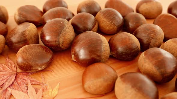 Chestnut with Autumn Leaf