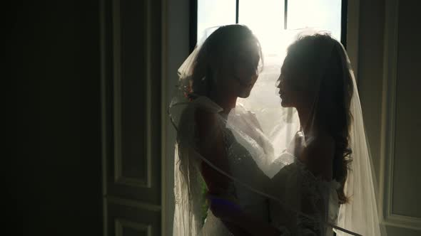 4K Portrait of Asian woman lesbian couple wedding dress hugging together