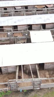 Aerial View of a Shelter for Stray Dogs