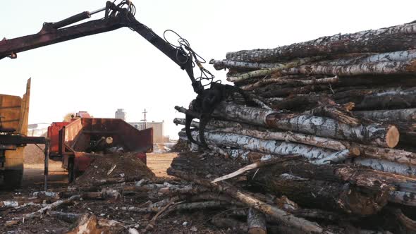 Sawmill Process From Log To Wood Fibre