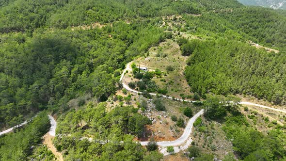 Avocado Fields aerial view 4 K Turkey Alanya