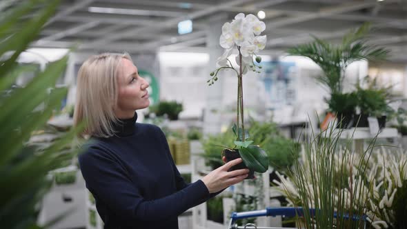 A Woman Chooses an Orchid for Home Gardening