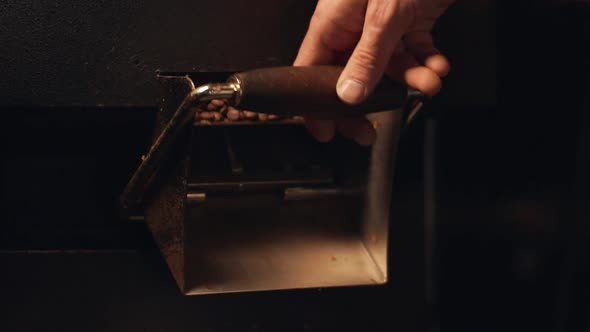 Cropped Closeup View of Barista Man Working with Roaster Machine Roasted Coffee Beans Falling From