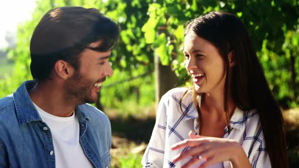 Romantic couple in the vineyard 4k