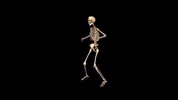 Skeleton Show Dance Pop