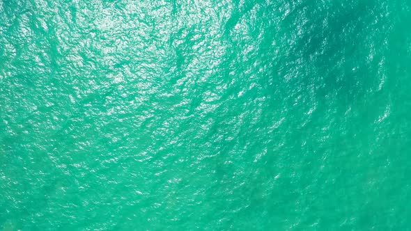 Aerial drone shot seascape of idyllic sea view beach wildlife by shallow sea with white sandy backgr