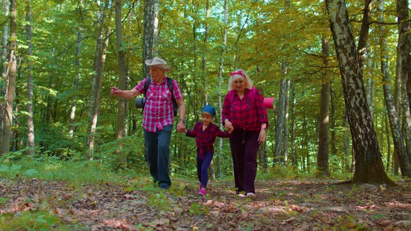 Active Senior Grandmother Grandfather Tourists Walking Hiking with Granddaughter in Summer Wood