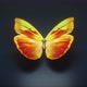 Beautiful Yellow Colored Butterfly - VideoHive Item for Sale