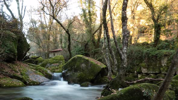 Autumn River