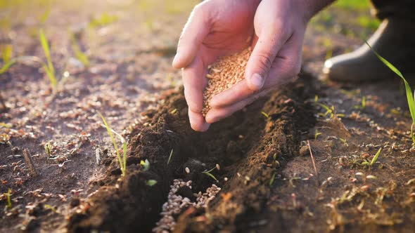 Planting Seeds