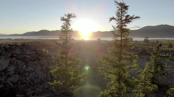 Relaxing Sunny Lake View Behind Tree Branches