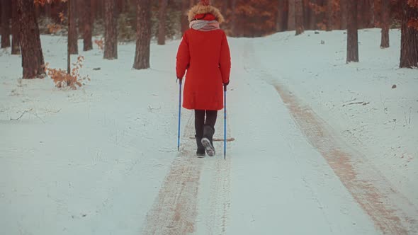 Woman Practicing Nordic Walking In Forest. Sticks Walking On Winter Wood. Winter Adventure Hiking.