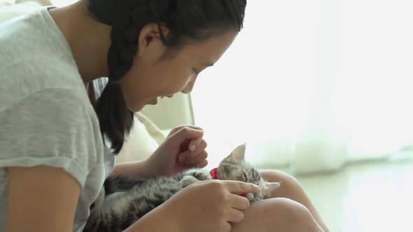 Beautiful Asian Girl Playing With Kitten On Sofa At Home