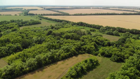 Beautiful Rural Summer Landscape From a Height in Russia