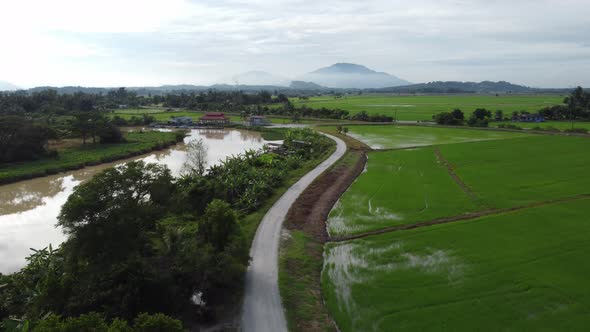 Aerial view path lead toward Kampung Terus