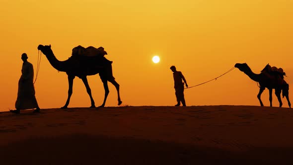 Cameleers Camel Drivers at Sunset