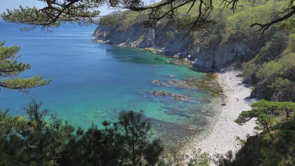 View From the Pine Grove on an Amazing Turquoise Sea in Marine Reserve