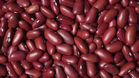 Red Beans 17