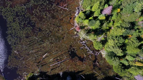 A marsh right out of town in North Bend, Oregon, shot with a Mavic 2 Pro.