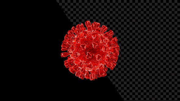 Corona Virus Infective Covid-19 V1