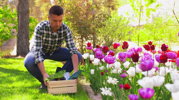 Man with Tools in Box at Summer Garden