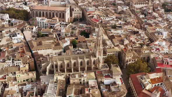 Architecture of a Historic European City with a Cathedral Dron  Video