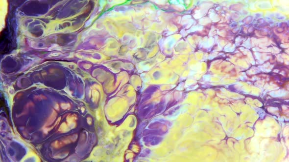 Color Explosion Abstract Vivid Art Painting Texture alt