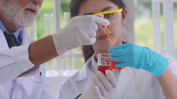 Scientist Work with Science Equipment in Laboratory