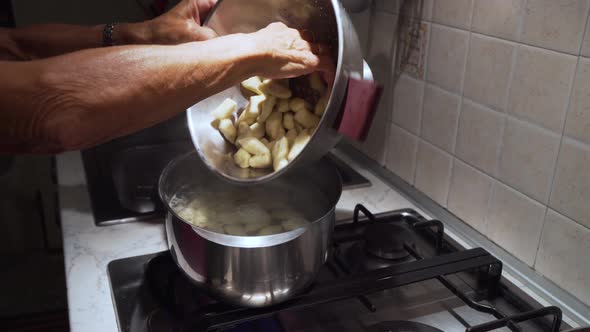 italian handmade gnocchi tipycall pasta food