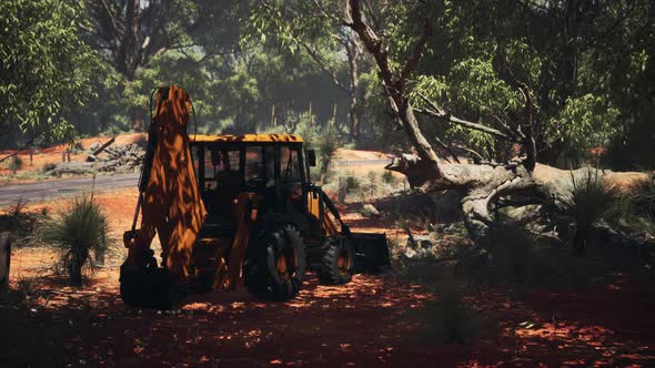 Excavator Tractor in Bush Forest