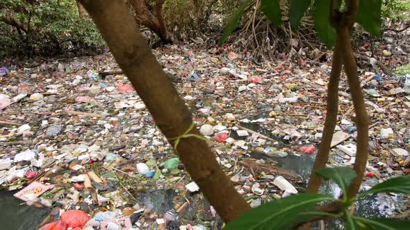 Huge Dump in Tropical Mangrove Tree Forest. Plastic Waste Rubbish Floating in Lake Water