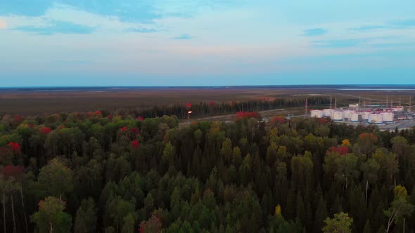 Flight Over the Forest to the Oil and Gas Torch That Burns with a Bright Flame