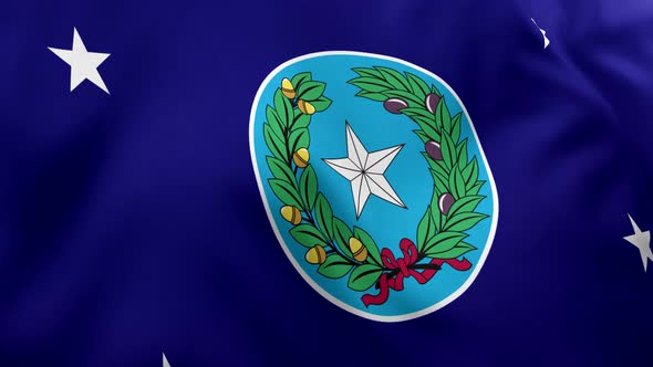 Governor of Texas Flag - 4K