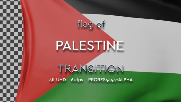 Flag of Palestine transition | UHD | 60fps