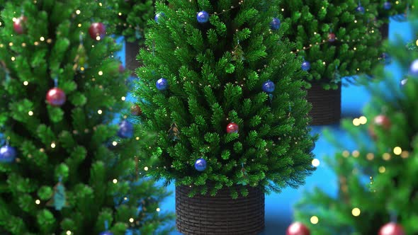 Christmas trees rotating on a blue background