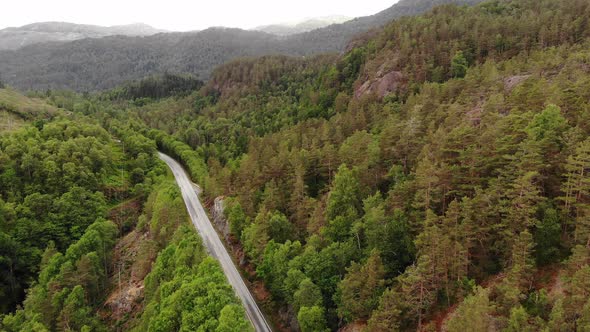  Asphalt Road in Norwegian Forest