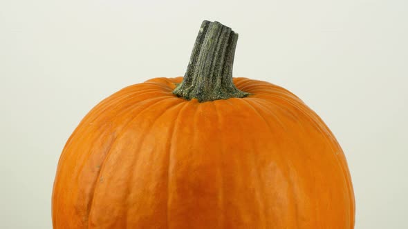 Halloween pumpkin with on a white background rotates 360. Close-up of an orange pumpkin.