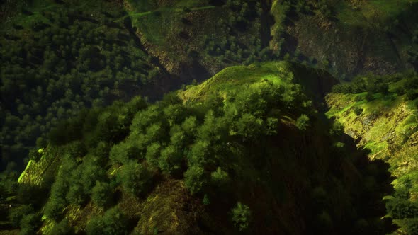 Tropical Forest in Morning View of Highland Malaysia