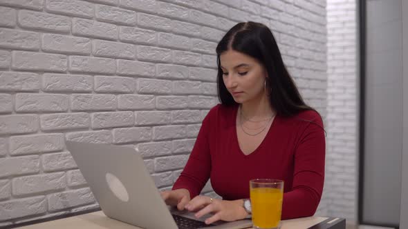 Woman Office Worker Using Laptop Distance Remote Working From Home on Quarantine