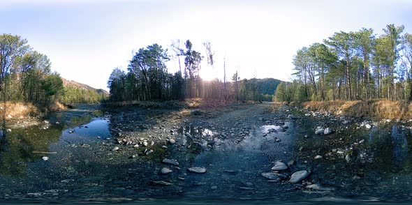 360 VR Virtual Reality of a Wild Mountains, Pine Forest and River Flows. National Park, Meadow and